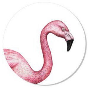 Muurcirkel Flamingo